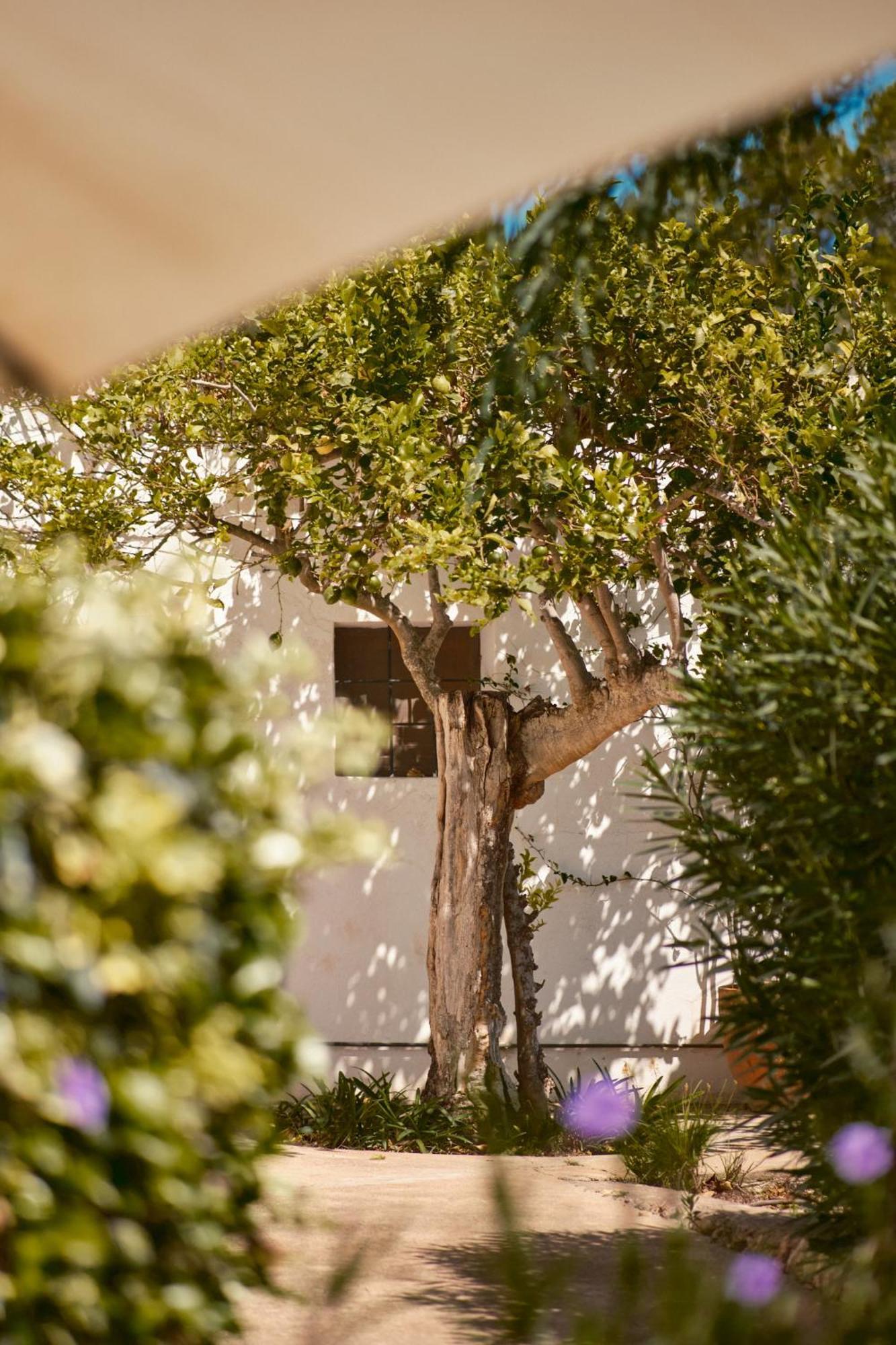 מלון Santa Gertrudis  The Guardian House מראה חיצוני תמונה