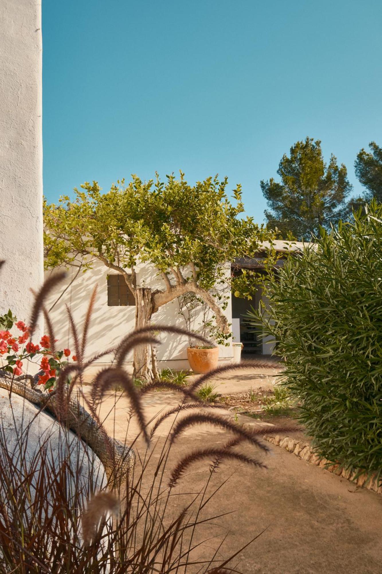מלון Santa Gertrudis  The Guardian House מראה חיצוני תמונה